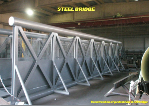 Steel Structures